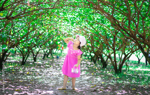 little asian girl looking the mulberry fruit in the garden