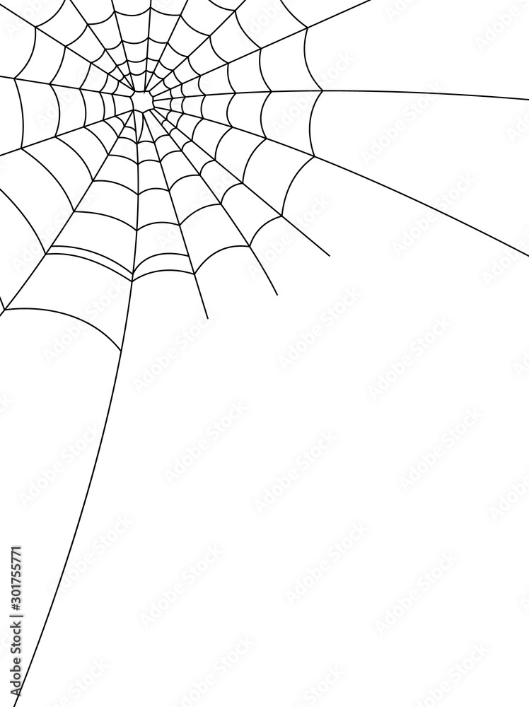 Halloween spider web and spiders isolated on white background