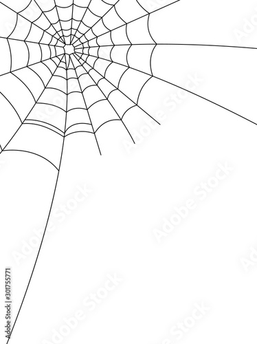 Obraz na płótnie Halloween spider web and spiders isolated on white background w salonie