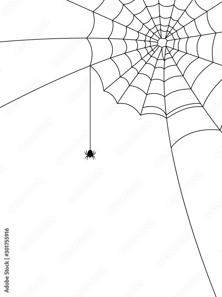 Halloween spider web and spiders isolated on white background