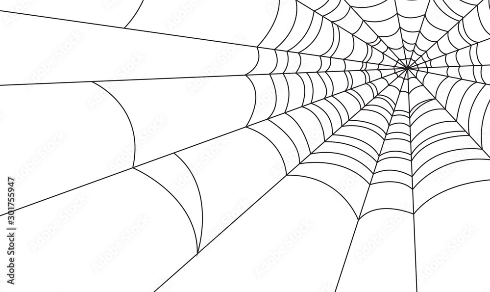 Halloween spider web and spiders isolated on white background