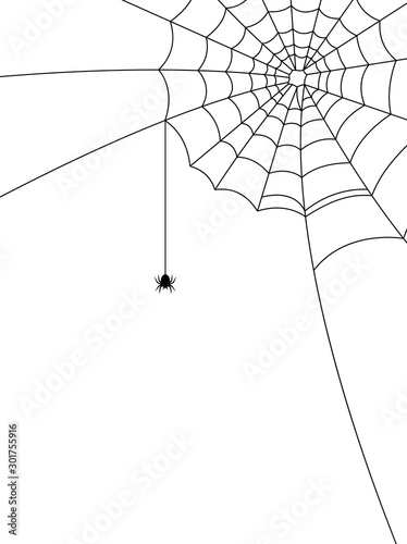 Obraz na płótnie Halloween spider web and spiders isolated on white background w salonie