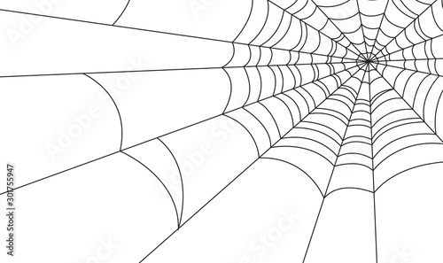 Obraz na płótnie Halloween spider web and spiders isolated on white background w salonie
