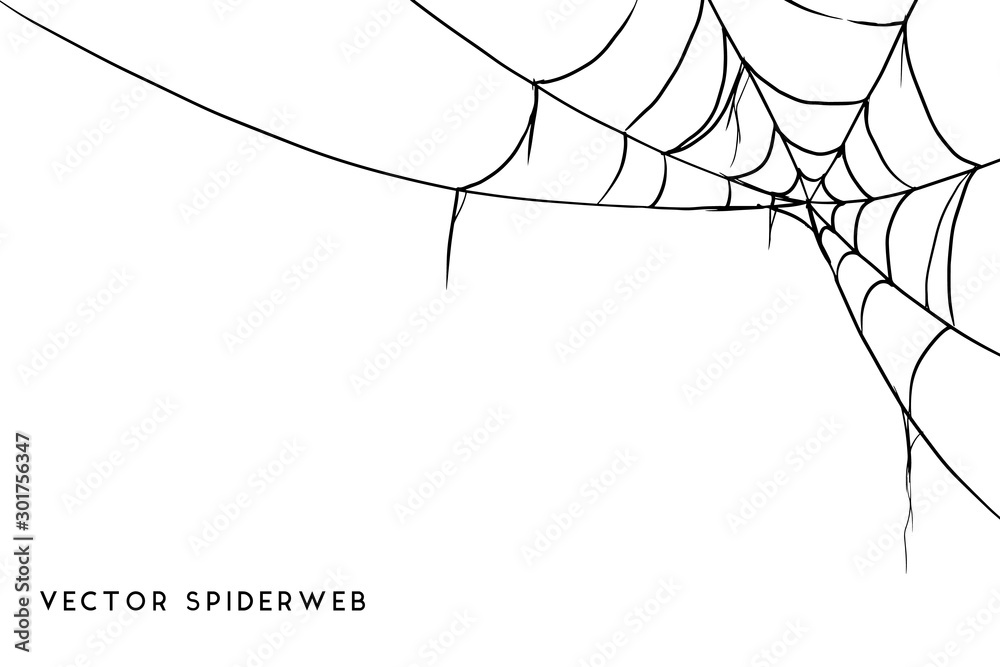 Halloween spider web and spiders isolated on white background