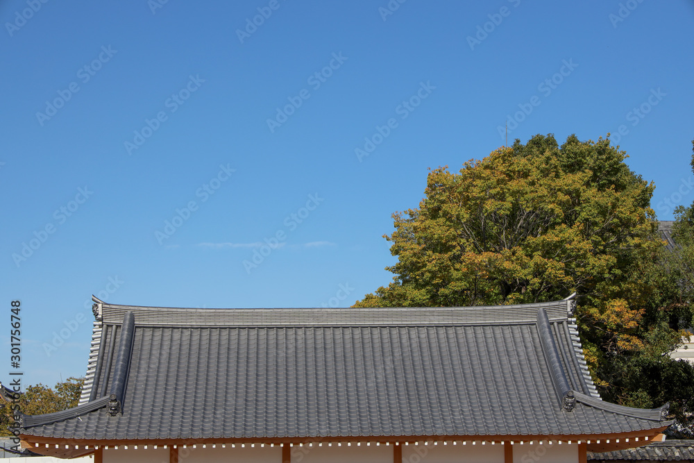 京都ぶらり、甍と青空 京都ぶらり、甍と青空