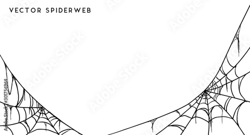 Obraz na płótnie Halloween spider web and spiders isolated on white background w salonie