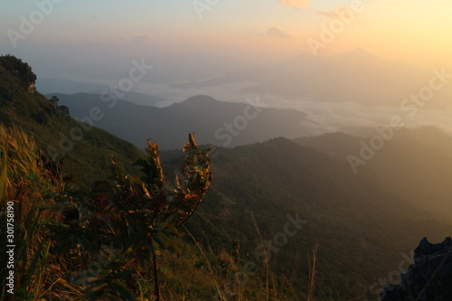 moutian travel white green forest landscape