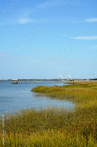 Marsh with view of Charleston South Carolina harbor © Stacie’ S Photos
