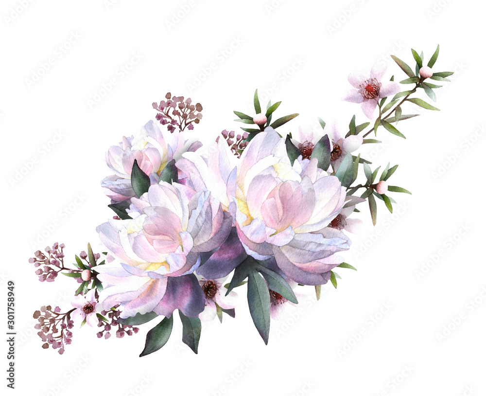 Obraz premium Picturesque floral arrangement of peonies, teatree flowers,herbs and leaves hand drawn in watercolor isolated on white background.Watercolor illustration.Ideal for creating invitations, wedding cards