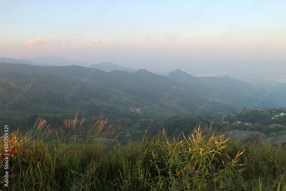 Obraz premium moutian travel white green forest landscape