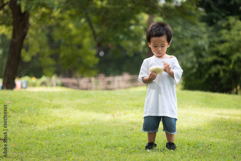 Portrait of Asian little boy stand on green grass and holding sandwich. The son does activities with the family in the park at holidays. Portrait of Asian little boy stand on green grass and holding sandwich. The son does activities with the family in the park at holidays.