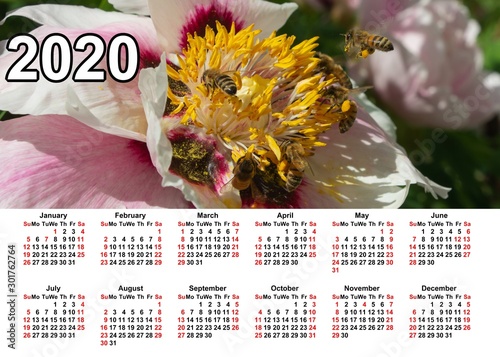Wall calendar for the whole year. Corporate, home and business calendar. 2020 calendar in table. Calendar on a background mountains, sunset and flowers