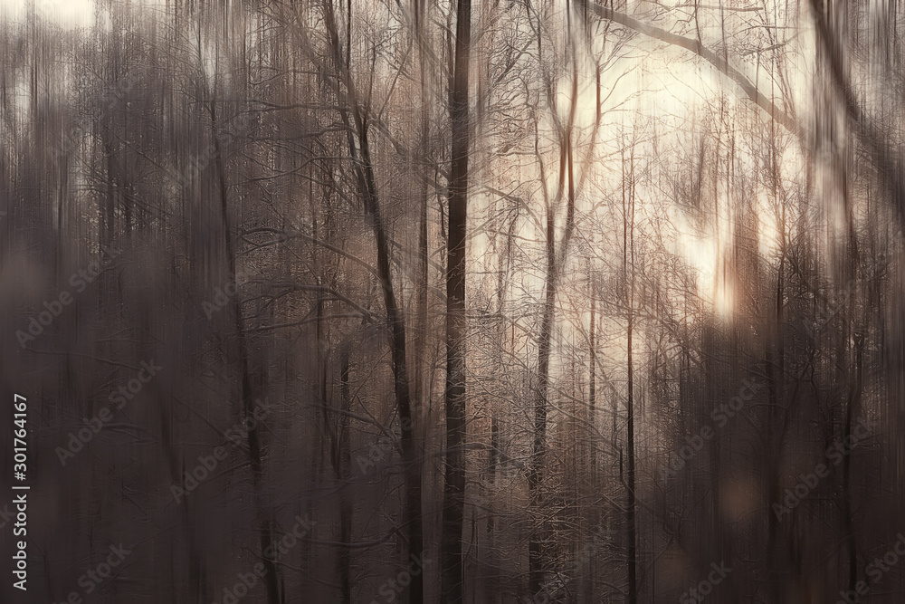 Obraz premium abstract forest blurred winter vertical lines / winter forest background, abstract landscape