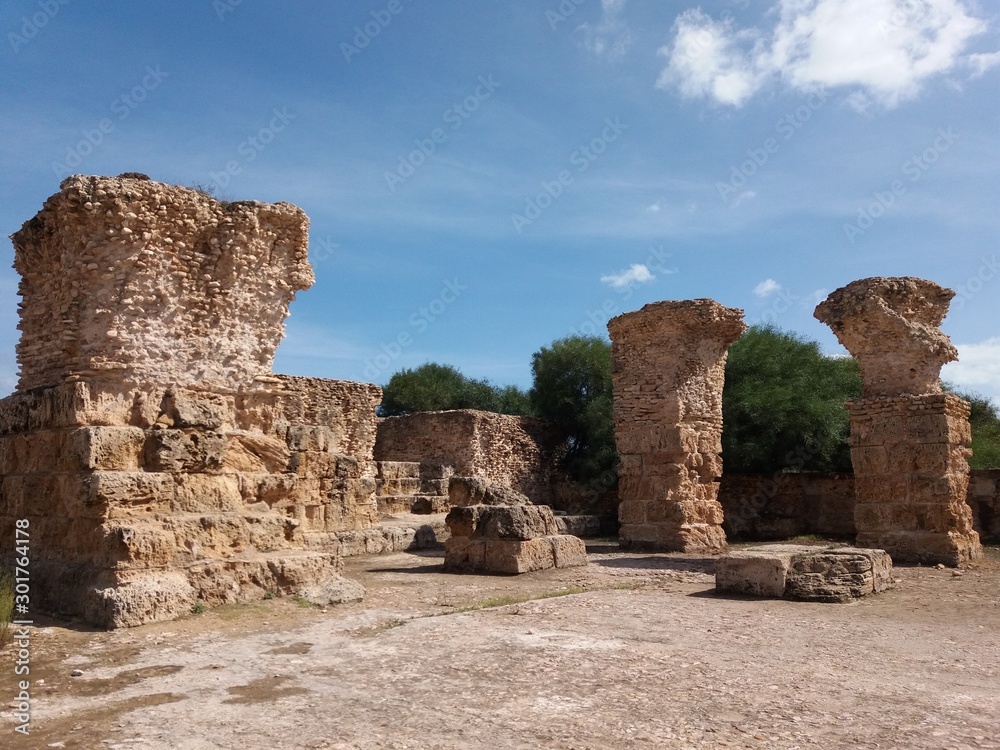 ruins of the temple