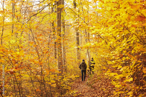 woman walking in autumn park