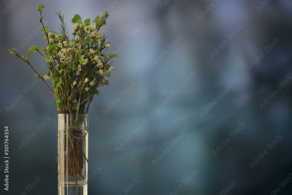 spring bouquet branches bud leaves / small fresh branches in a bouquet with green leaves buds and flowers, spring spring bouquet branches bud leaves / small fresh branches in a bouquet with green leaves buds and flowers, spring