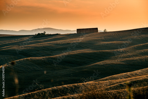 Fototapeta Naklejka Na Ścianę i Meble -  Landscape of the Siena hills at sunset