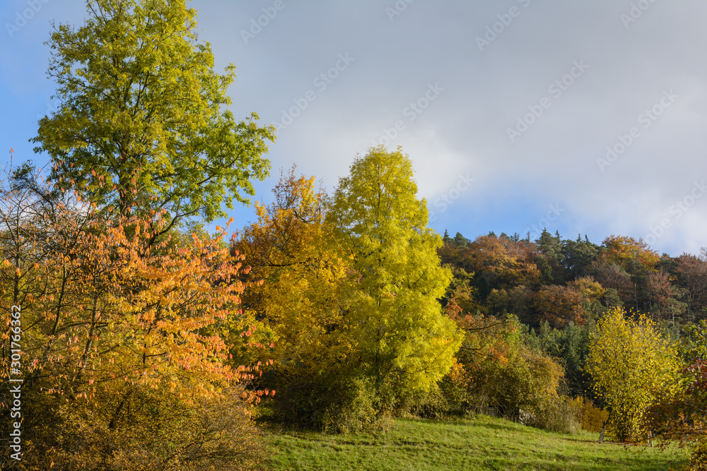 Herbstfarben in der Sonne am Anhang