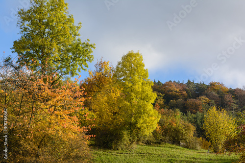 Fototapeta Naklejka Na Ścianę i Meble -  Herbstfarben in der Sonne am Anhang