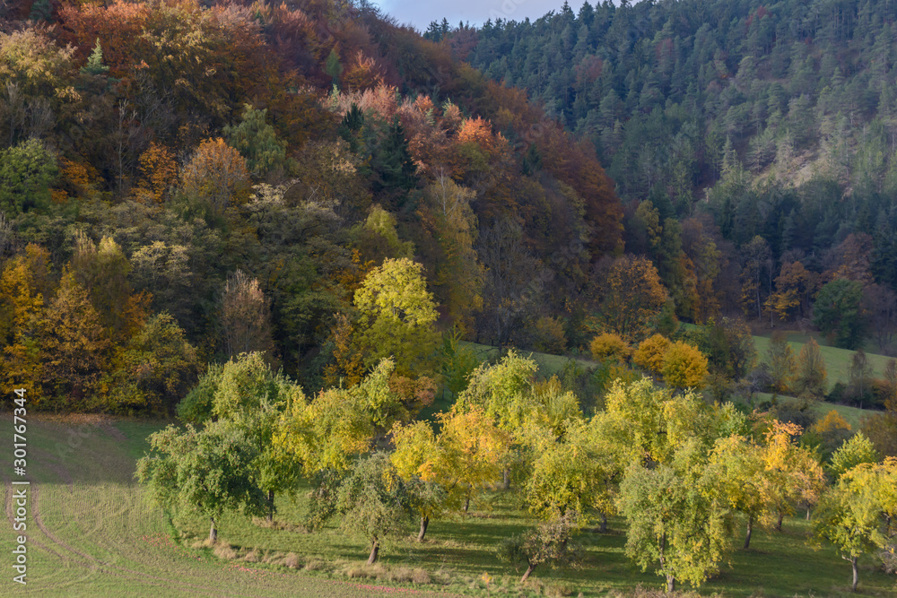 Bunte Obstbäume vor Mittelgebirge im Herbst im Sonnenschein