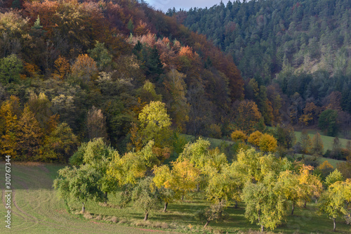 Bunte Obstbäume vor Mittelgebirge im Herbst im Sonnenschein