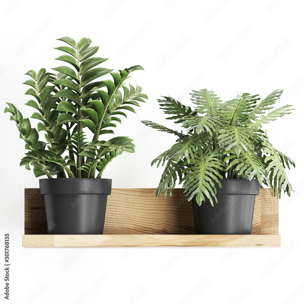 Obraz premium 3d illustration of decorative shelves with potted plants