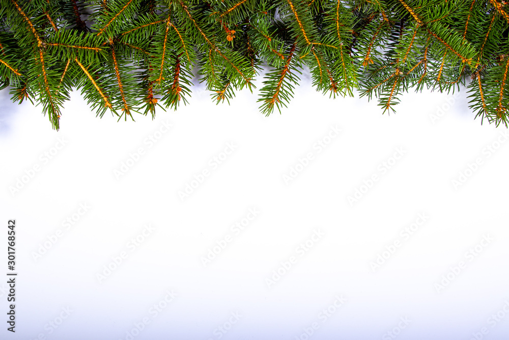 Tannenzweige als Rand, oben, weißer Hintergrund Tannenzweige als Rand, oben, weißer Hintergrund