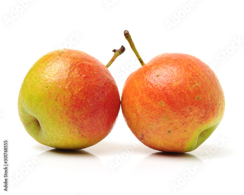 nanguo pear on white background  photo