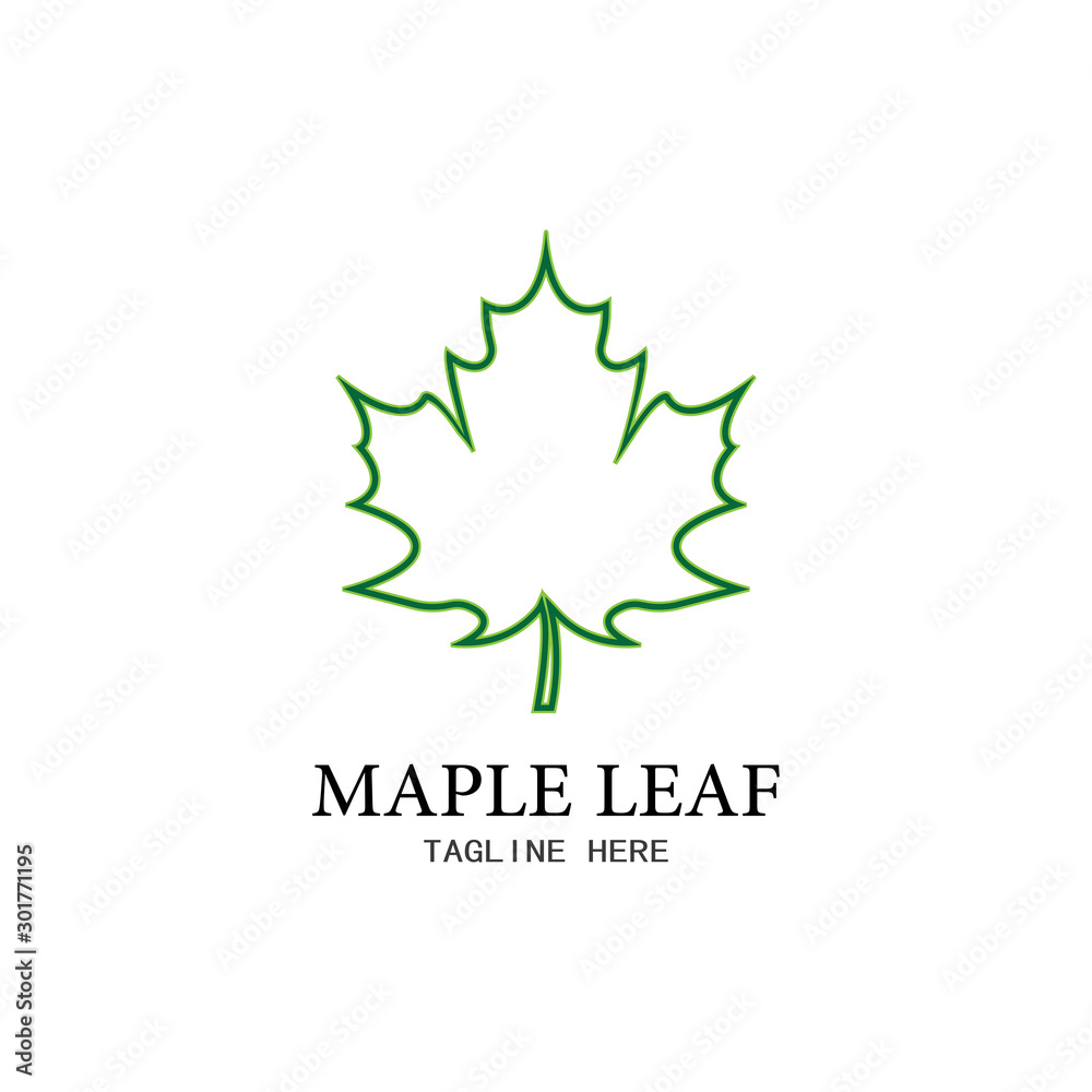 Maple leaf vector illustration Maple leaf vector illustration