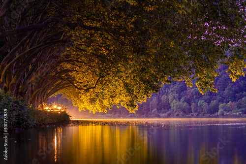 Baumallee bei Nacht am Baldeneysee Essen im Ruhrgebiet