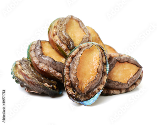 Raw abalones on the white background  photo
