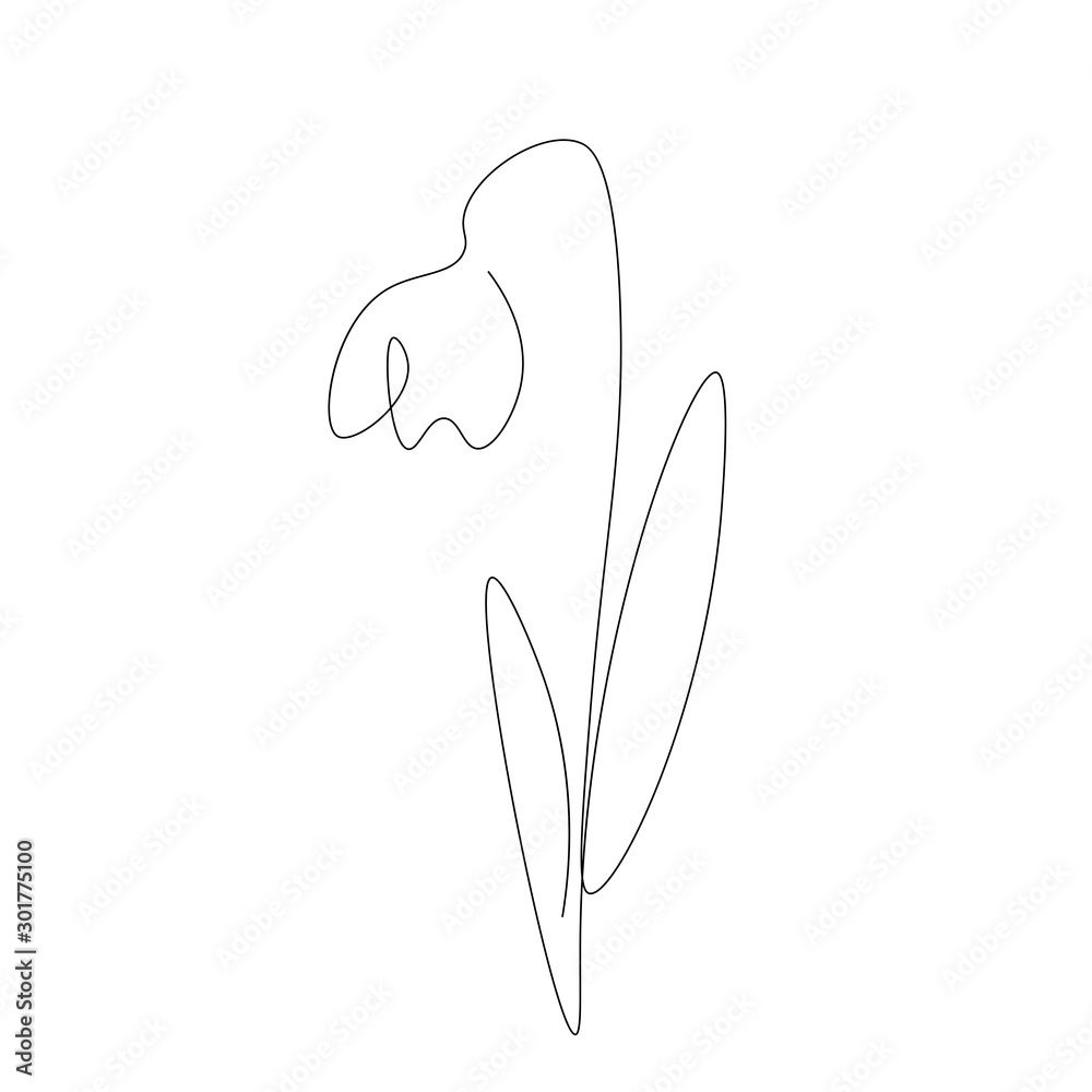 Fototapeta Flower continuous line drawing vector illustration