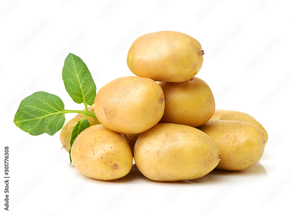 New potato isolated on white background New potato isolated on white background