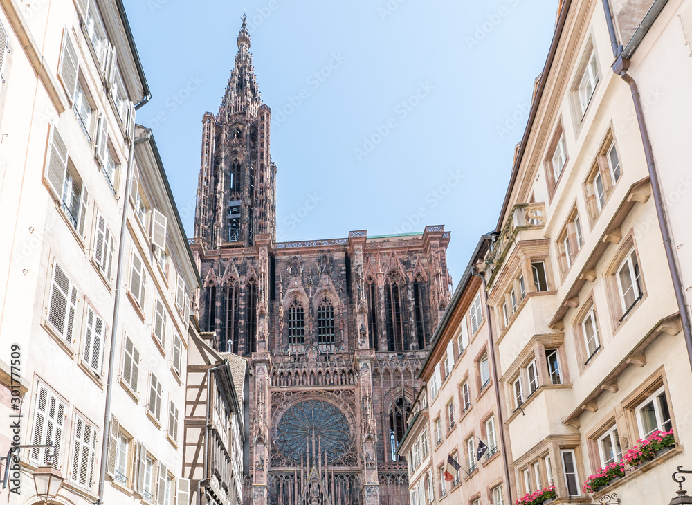 view of the Strasbourg Cathedral