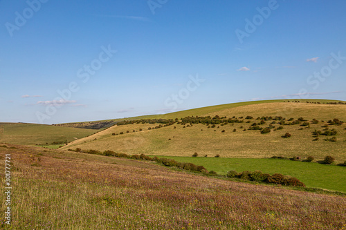 A rural Sussex landscape on a sunny summers evening