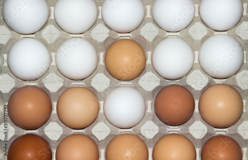 Large cell with multi-colored natural chicken eggs