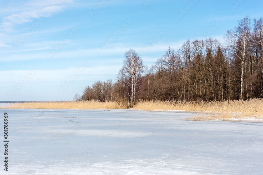 winter landscape of a natural lake covered with snow