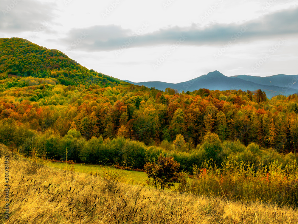 Autumn in the mountains. Nature has painted in pastel colors the leaves of trees, shrubs and grasses.