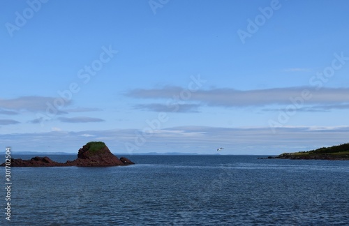 landscape along the Baccalieu Trail  little rock island at Island Cove near Islington Newfoundland Canada