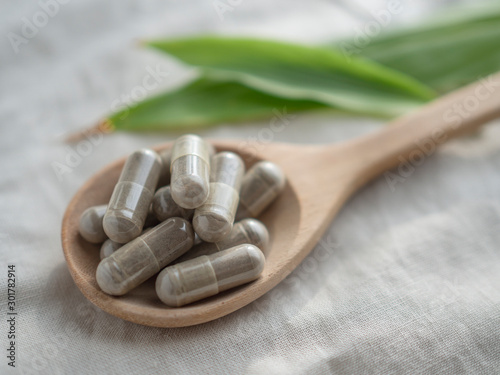 Organic medical pills with herbal plant on cloth background. Natural medicine concept