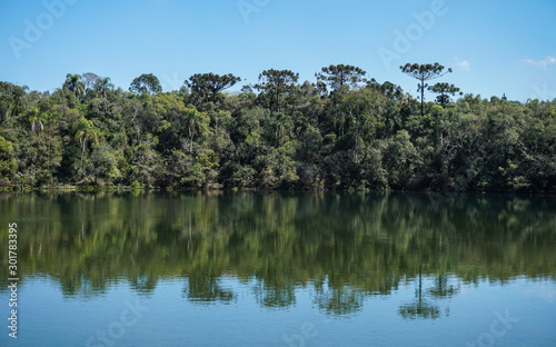 Forest with prominent araucarias reflected on the waters of the Golden Lake  in Vila Velha State Park - Ponta Grossa  Paran    Brazil