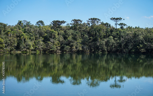 Forest with prominent araucarias reflected on the waters of the Golden Lake, in Vila Velha State Park - Ponta Grossa, Paraná, Brazil