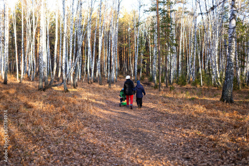 walking in the forest