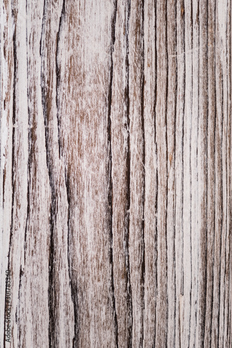 Close up of pattern of old wood brown  white and gray burned planks of pine tree. texture and background.