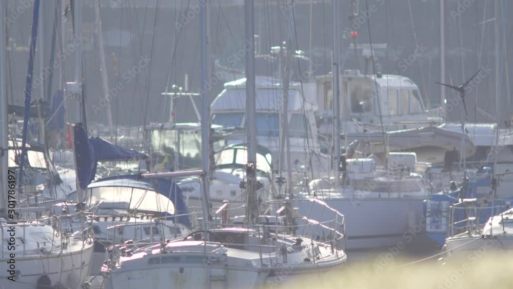 Petit port