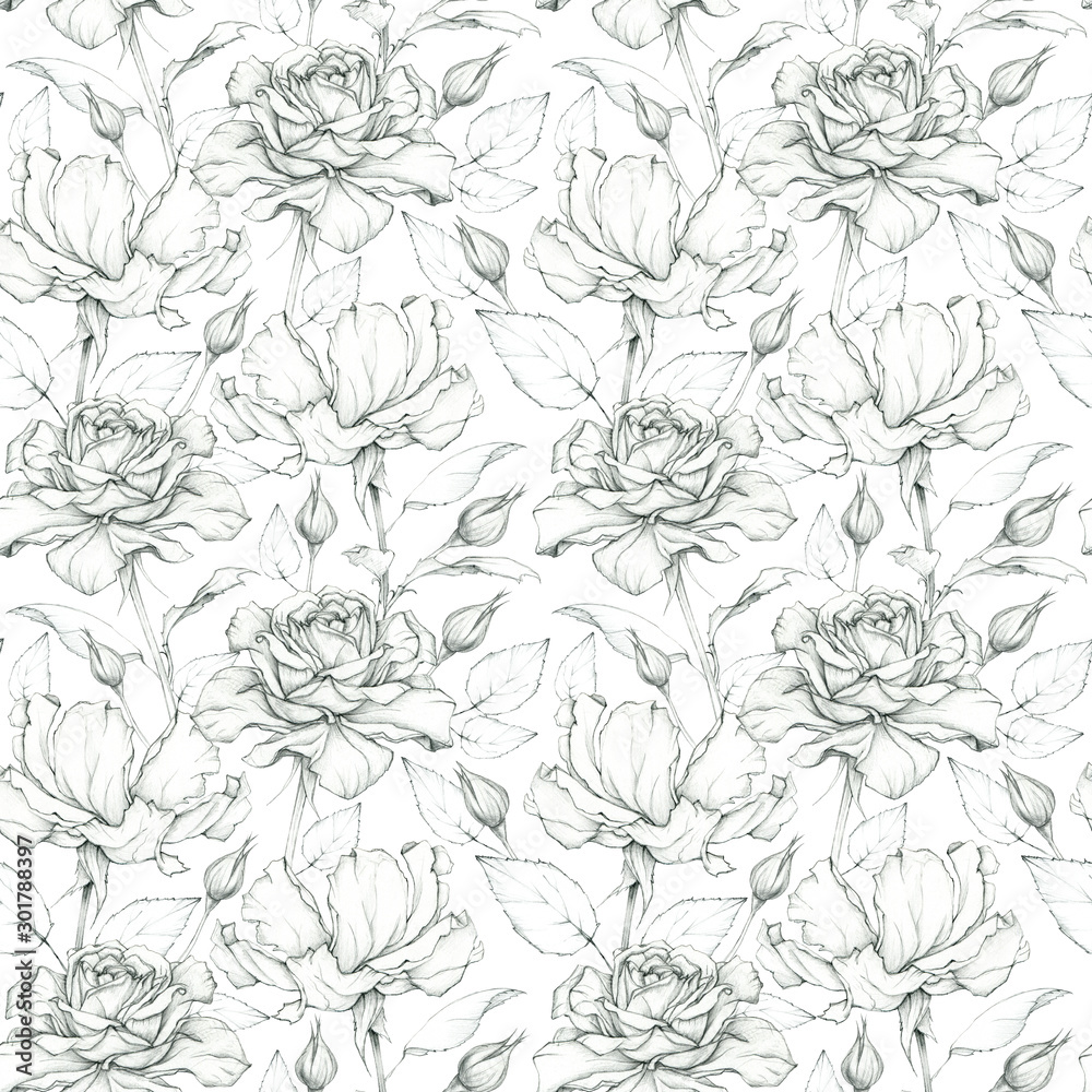 Fototapeta premium Seamless graphic pattern of beautiful roses. Pensil drawing. Vintage floral background.