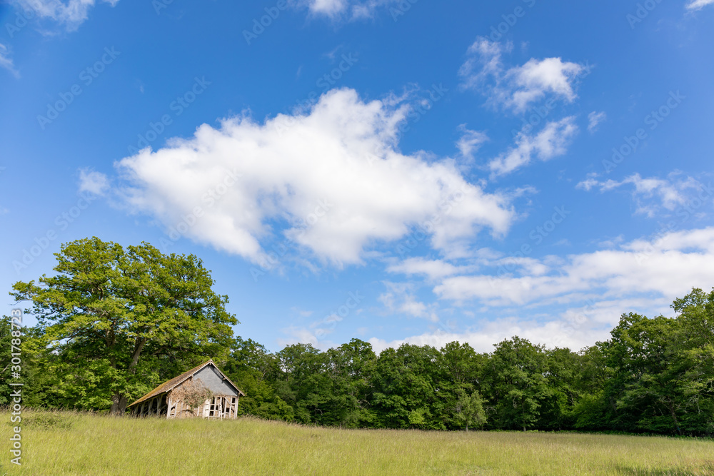 Loire Valley Countryside - near Langeais - France