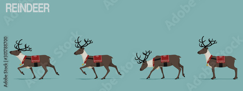 Photographie Set of walking reindeer with Christmas theme decoration.