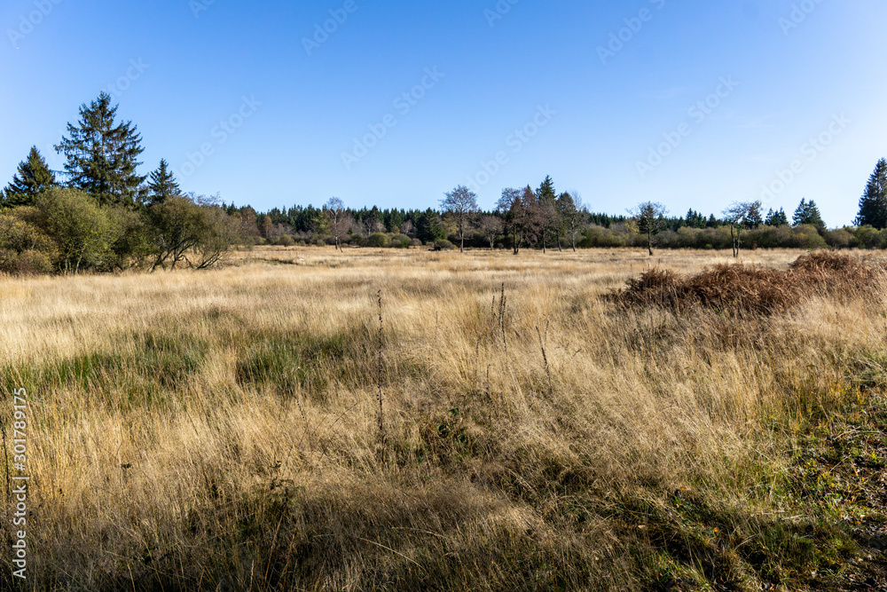 Wandern im hohen Venn