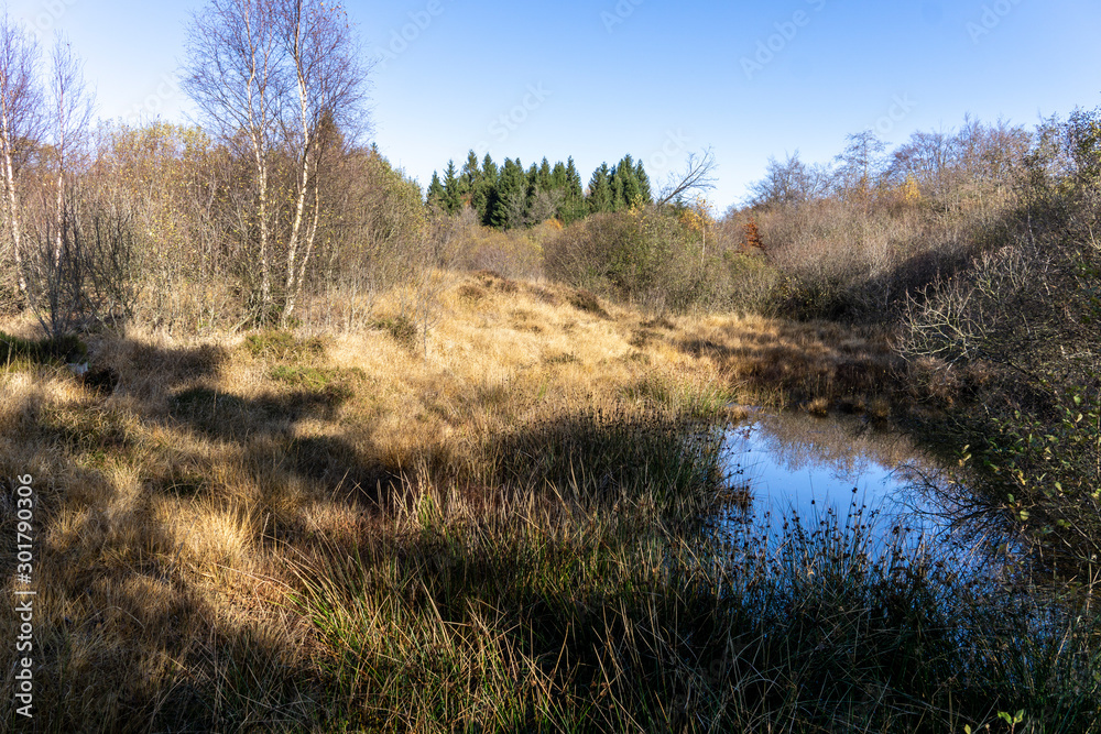 Wandern im hohen Venn